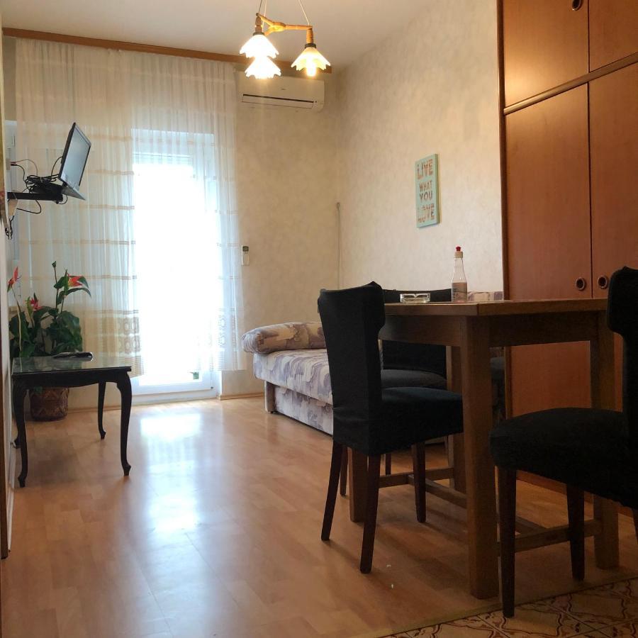 Apartment Irena 茨里克韦尼察 外观 照片