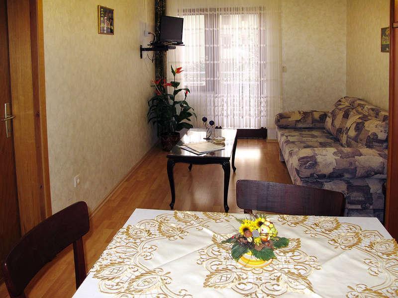Apartment Irena 茨里克韦尼察 外观 照片